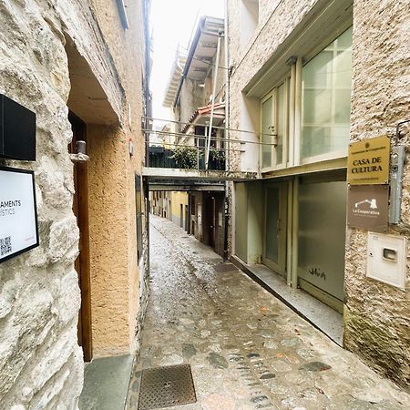 Dúplex con buhardilla en el centro histórico de Camprodon (La Rovira) Exterior foto